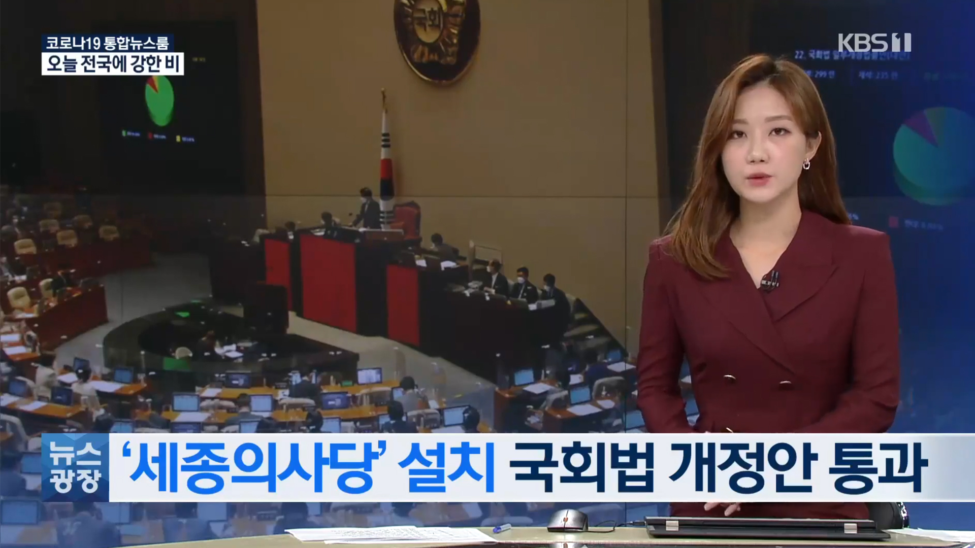 <대전 KBS> 세종의사당 설치 국회법 통과환영 정치중심지로 발돋음